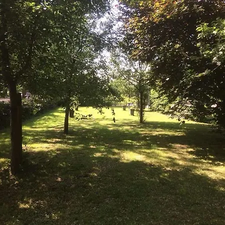 Gastenverblijf Op Zijn Zweeds Echten  Exterior foto